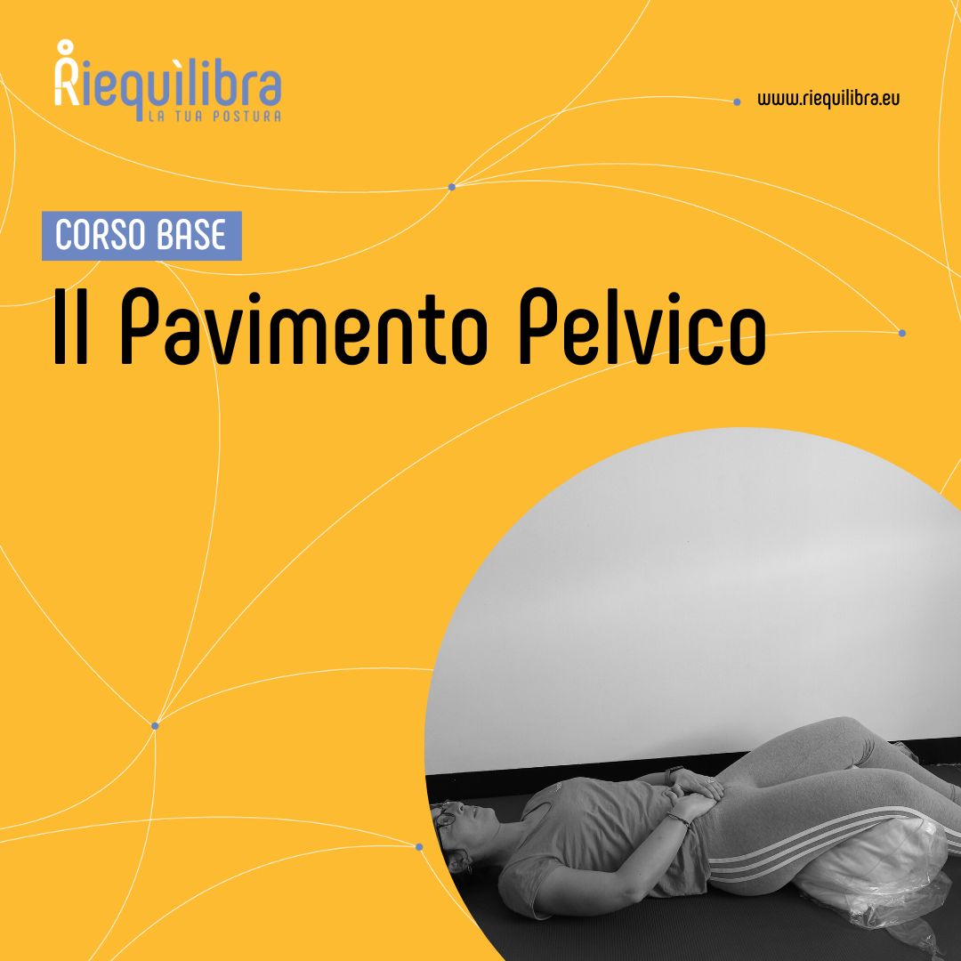 Il Pavimento Pelvico