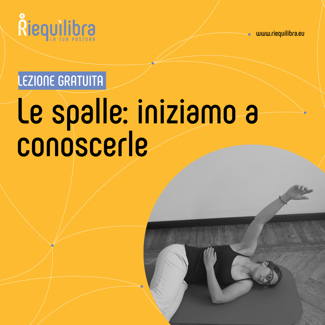 Le spalle: iniziamo a conoscerle