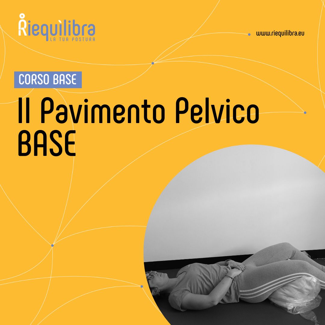 Il Pavimento Pelvico Base